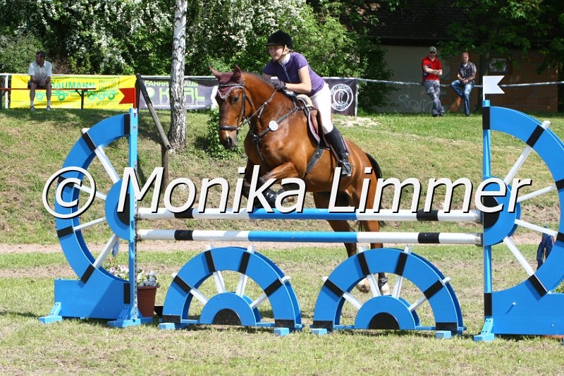 204M5441_Stardusr Harry_Spring_L.JPG